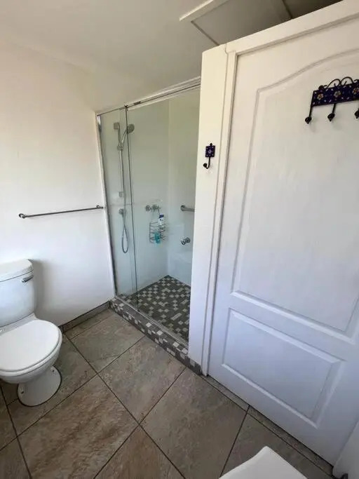 The Olive Thrush Spacious and Comfy 1 bedroom flat