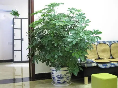 Zhengzhou Future Time Youth Hostel