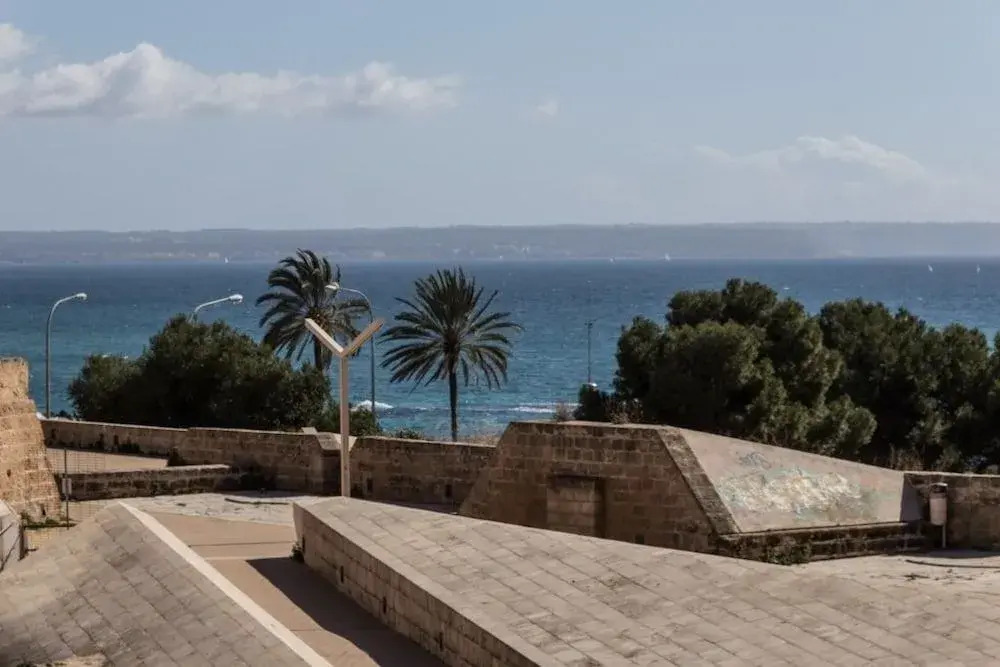 Historcal House Palma