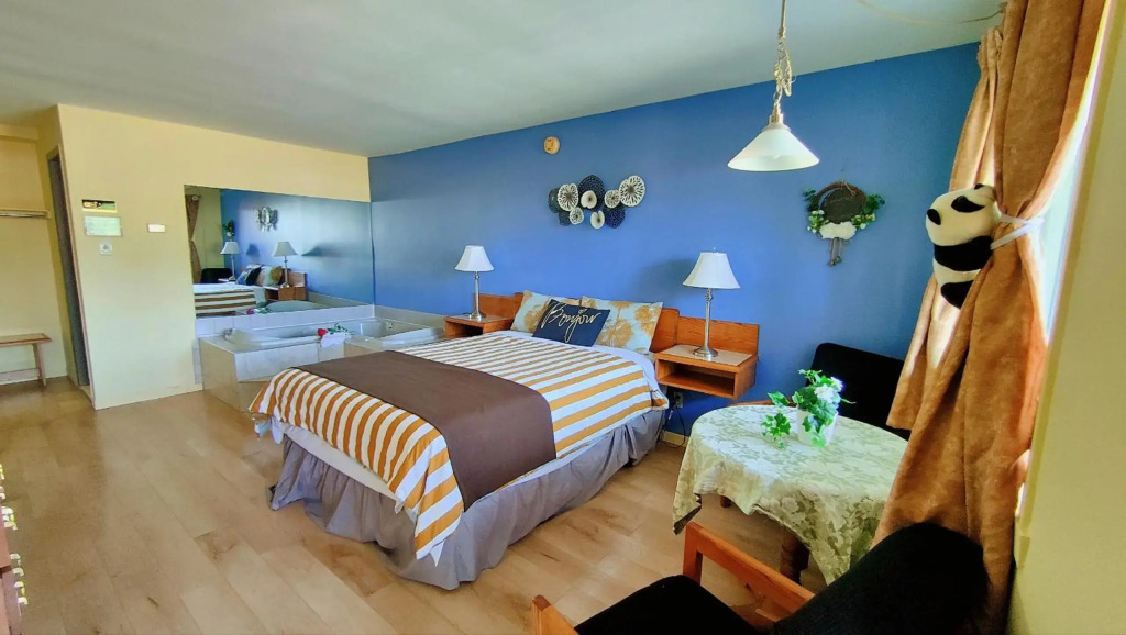 Motel Le Radisson de Val-David