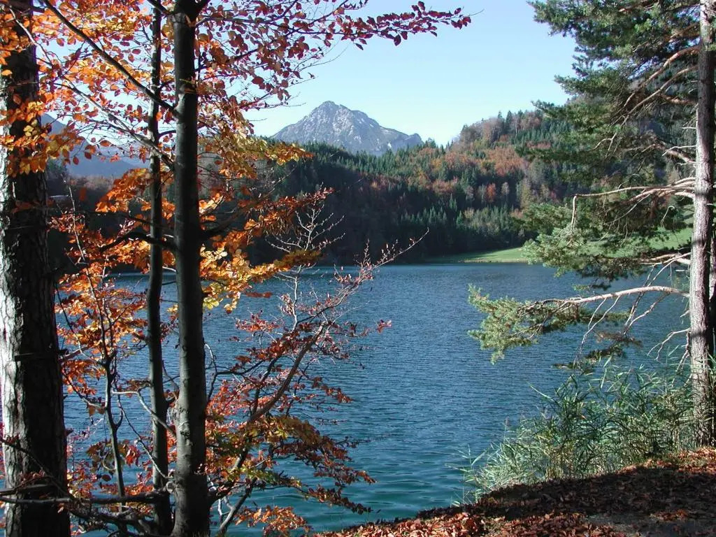 Die Lilie / Hotel Garni