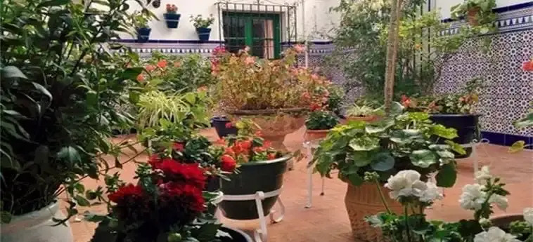 Hostal Enriqueta