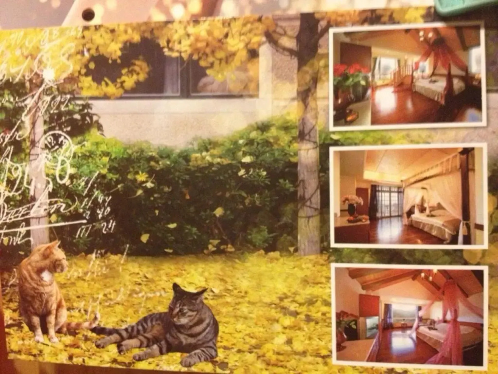 Dream Forest Villa I