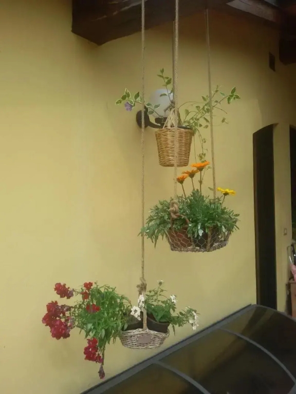 Pietra & Glicine B&B