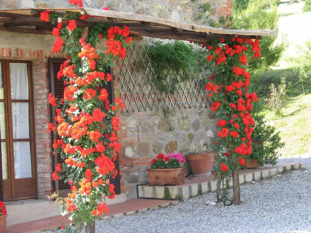 Verdidea - Podere Contignano (up to 21 people)