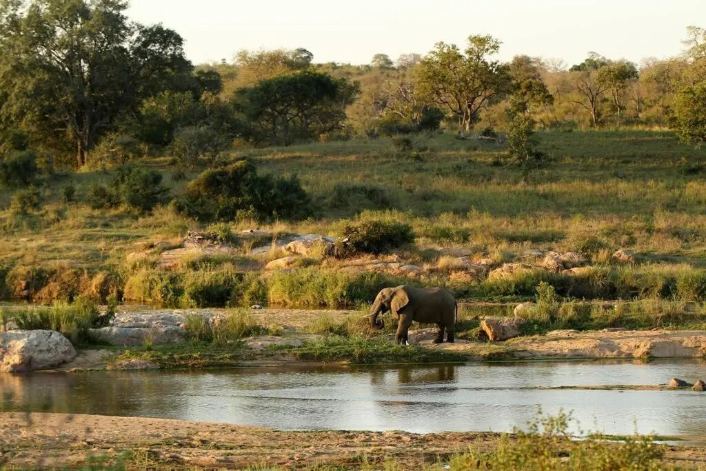 Eden Safari Country House