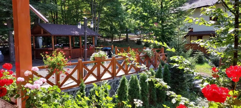 Pintea Chalet