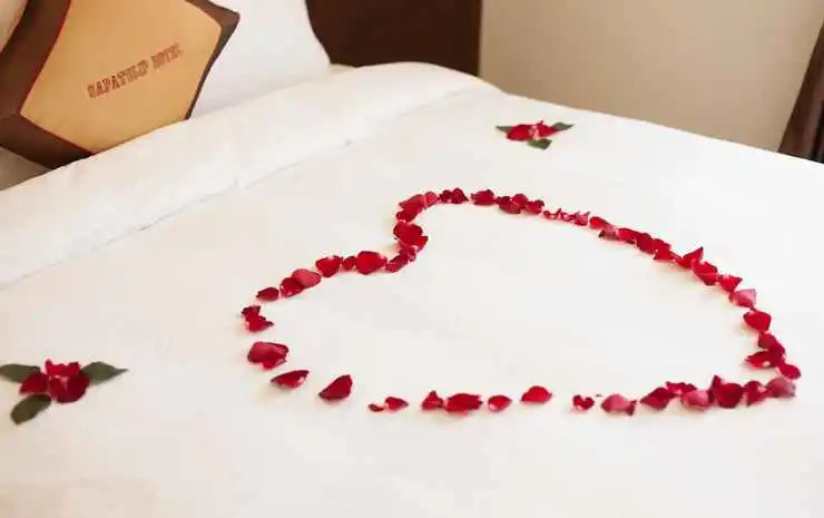 Tulip Hotel Sapa