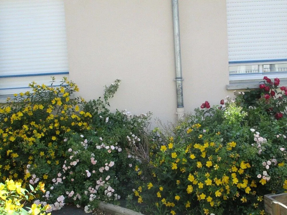 Le Clos Albert