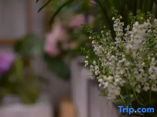 Senyu · Forest | Cangshan View Countryside Homestay (Longkan Wharf Branch)