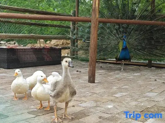 Sanqian Yinhe International Camping Hotel