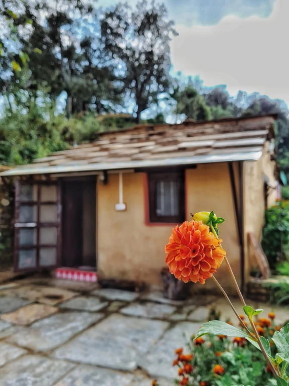Sharda Stays Binsar Himalayas