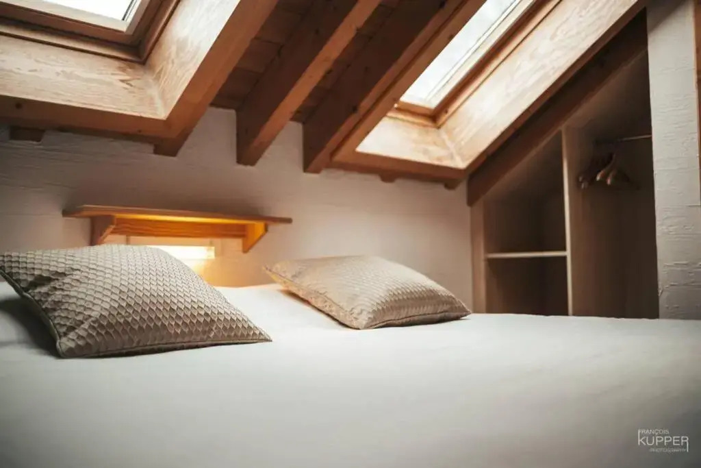 Le Héron 28pers, Malmedy- Home cinéma, balnéo, sauna, jardin