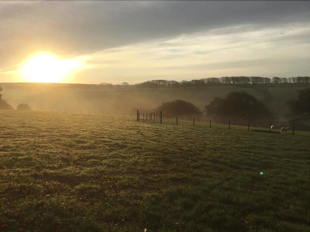 Higher Culloden Farm
