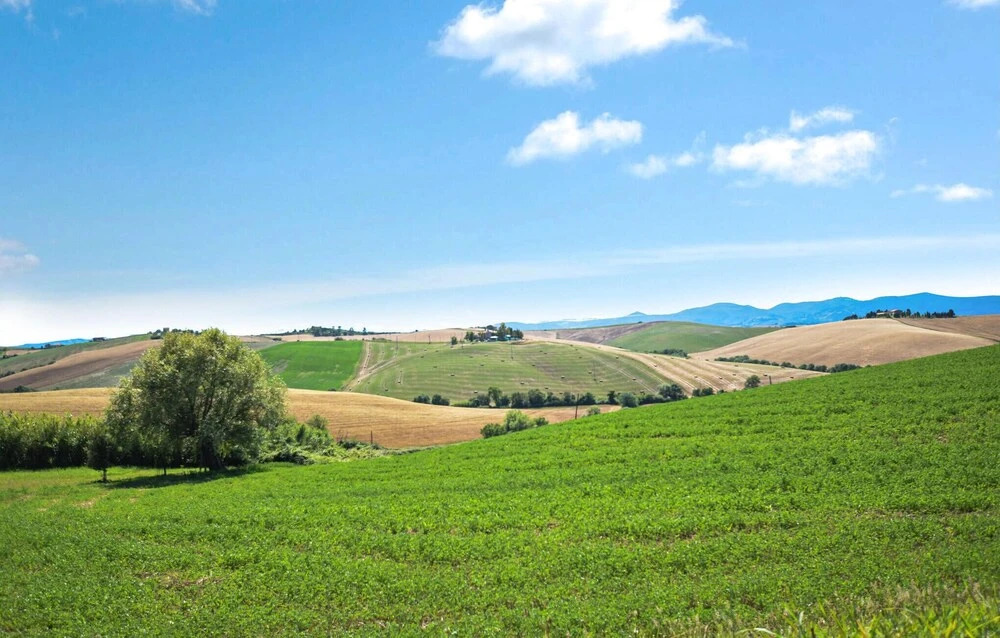 Agriturismo le Cannelle