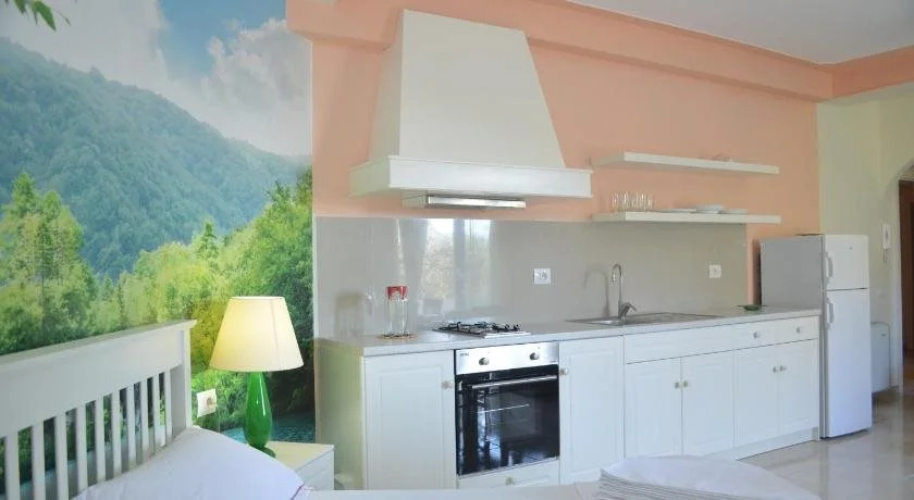 Vila Florika Hotel
