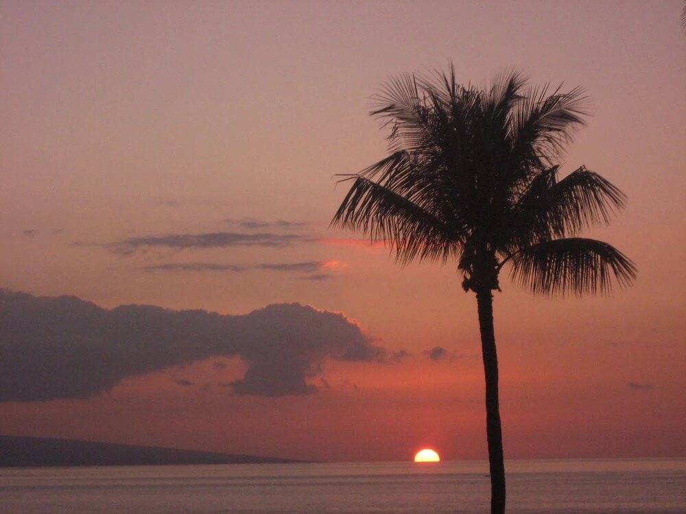 Hale Ono Loa #119 2 Bedrooms 2 Bathrooms Condo by Redawning