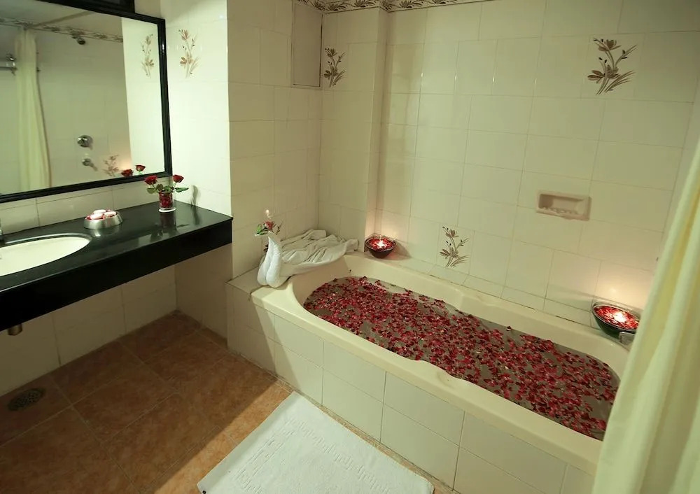 Hotel Shri Ram Excellency