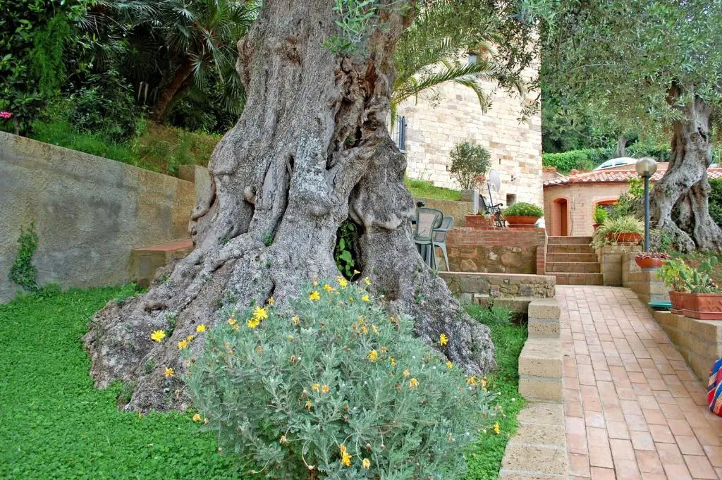 Madonna Del Poggio CAV - Apartments