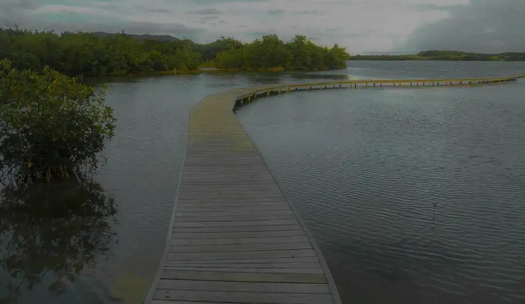Holidays in Martinique - Ravenala