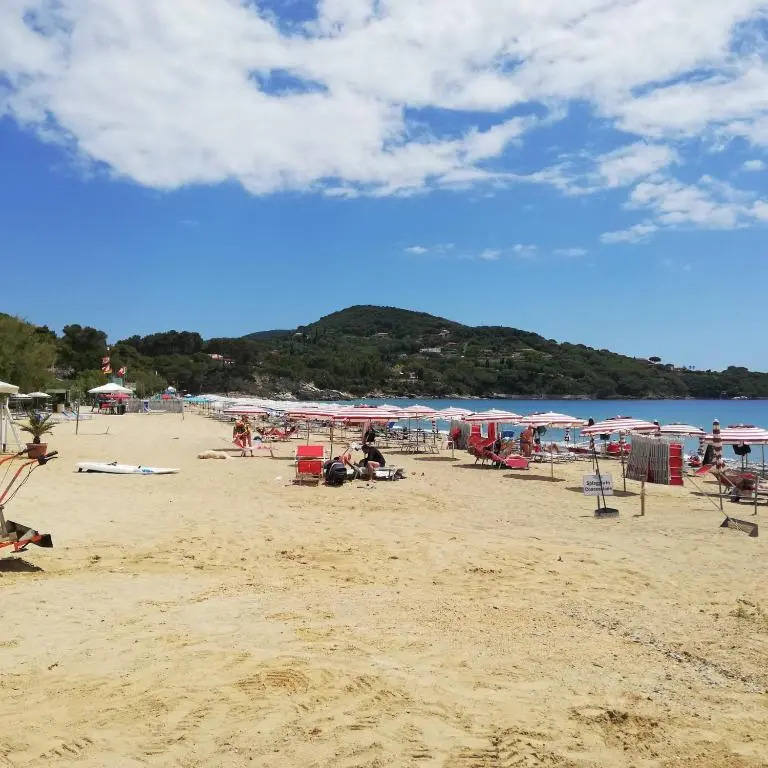 Lido I Palmizi