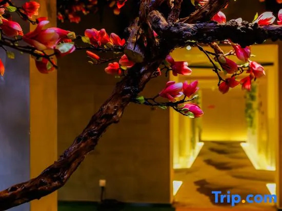 Qing Qiu Hotel