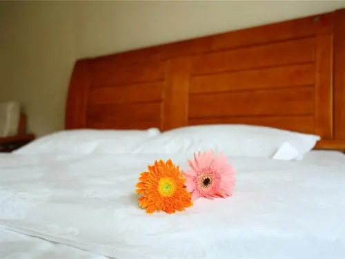 Bihaixin Hotel