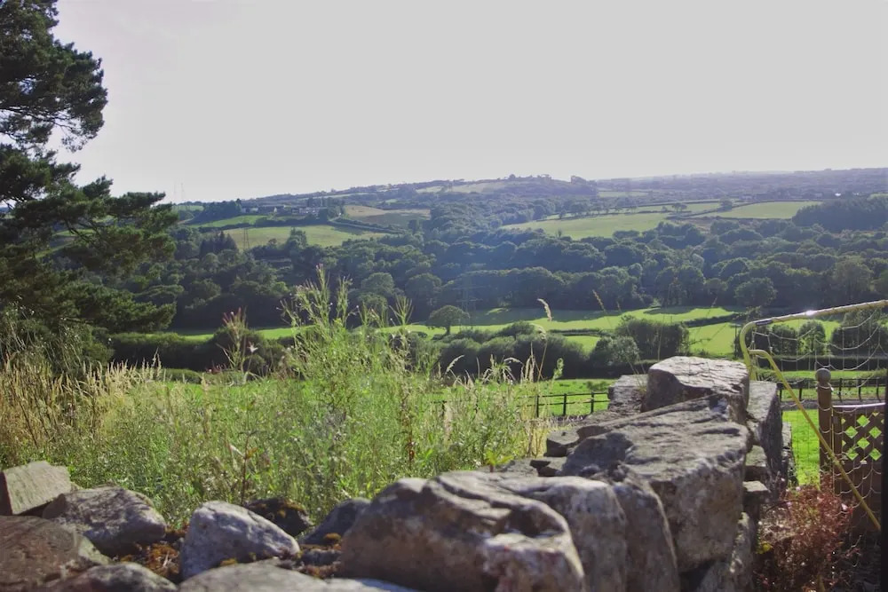 Plas Newydd Farm