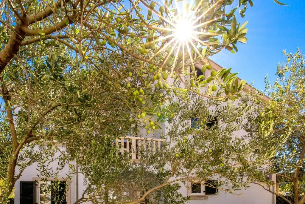Villas Rab Palit