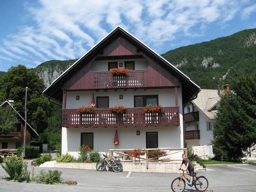 Apartments Na Vasi