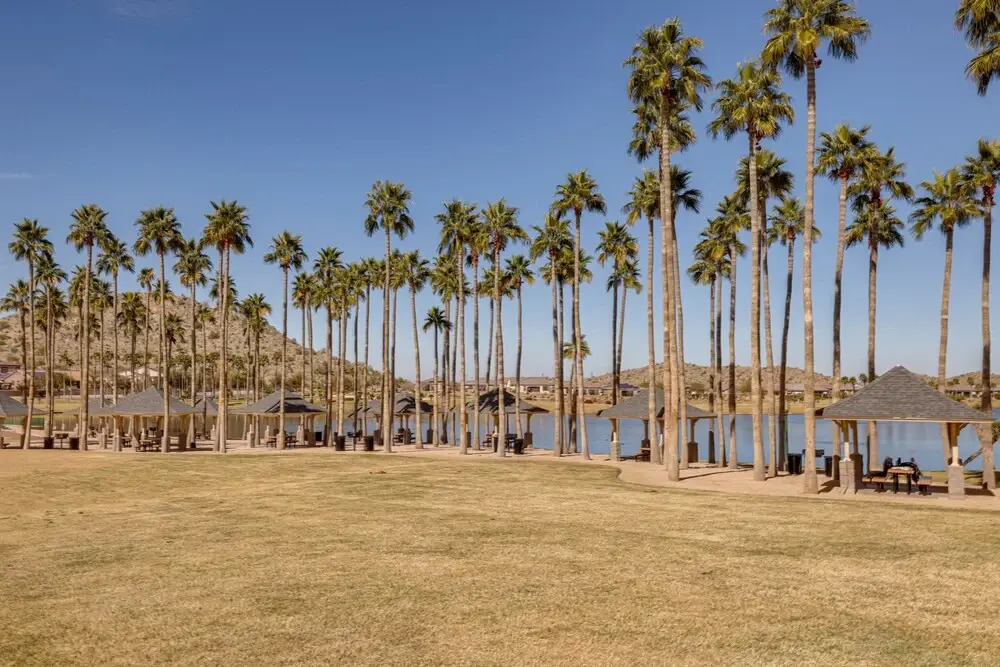 Outdoor Oasis: Spacious Family Escape in Goodyear!