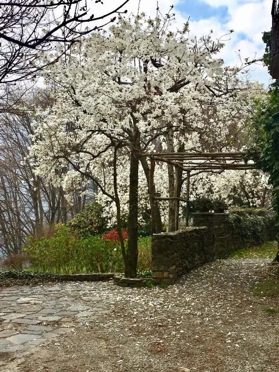 Casa Cesira