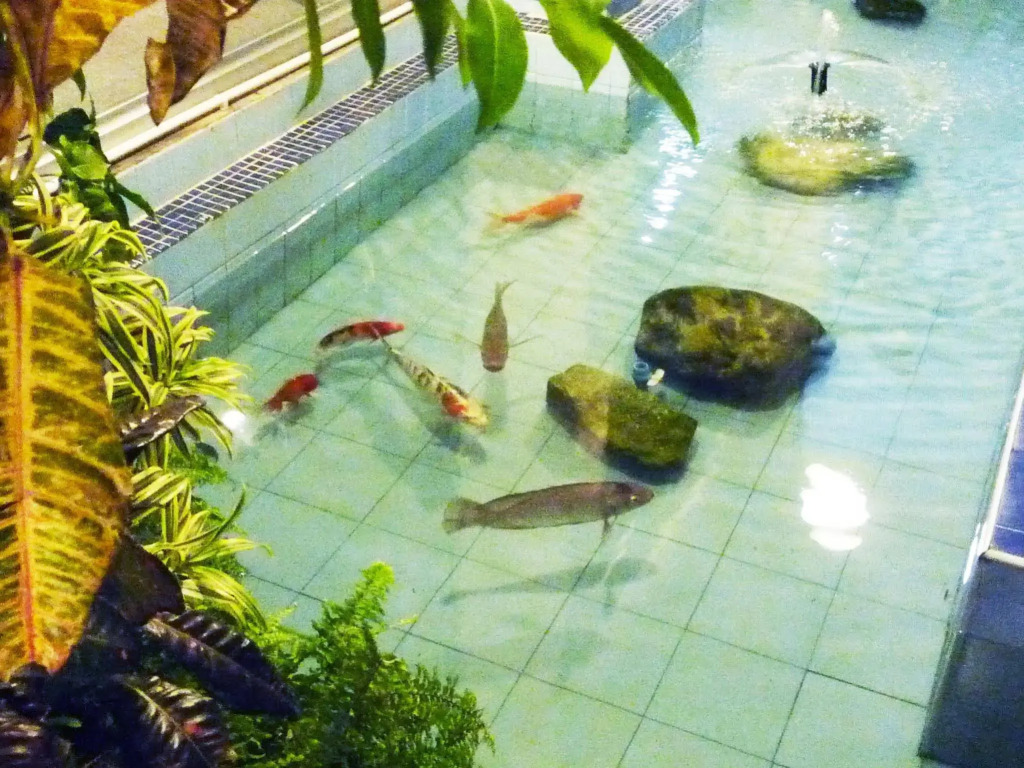 Hatyai Greenview Hotel