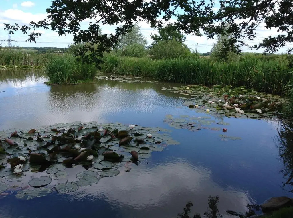 The Oak Eco Barn Clematis Cottages Stamford