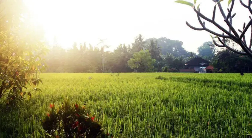 Bening Bungalow