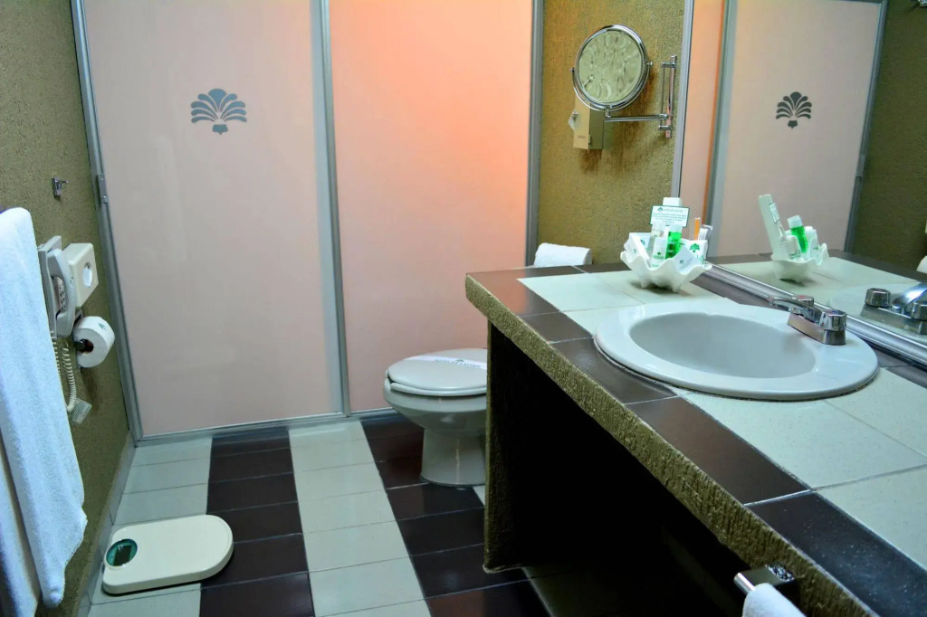 Hotel Layfer del Centro, Cordoba, Ver