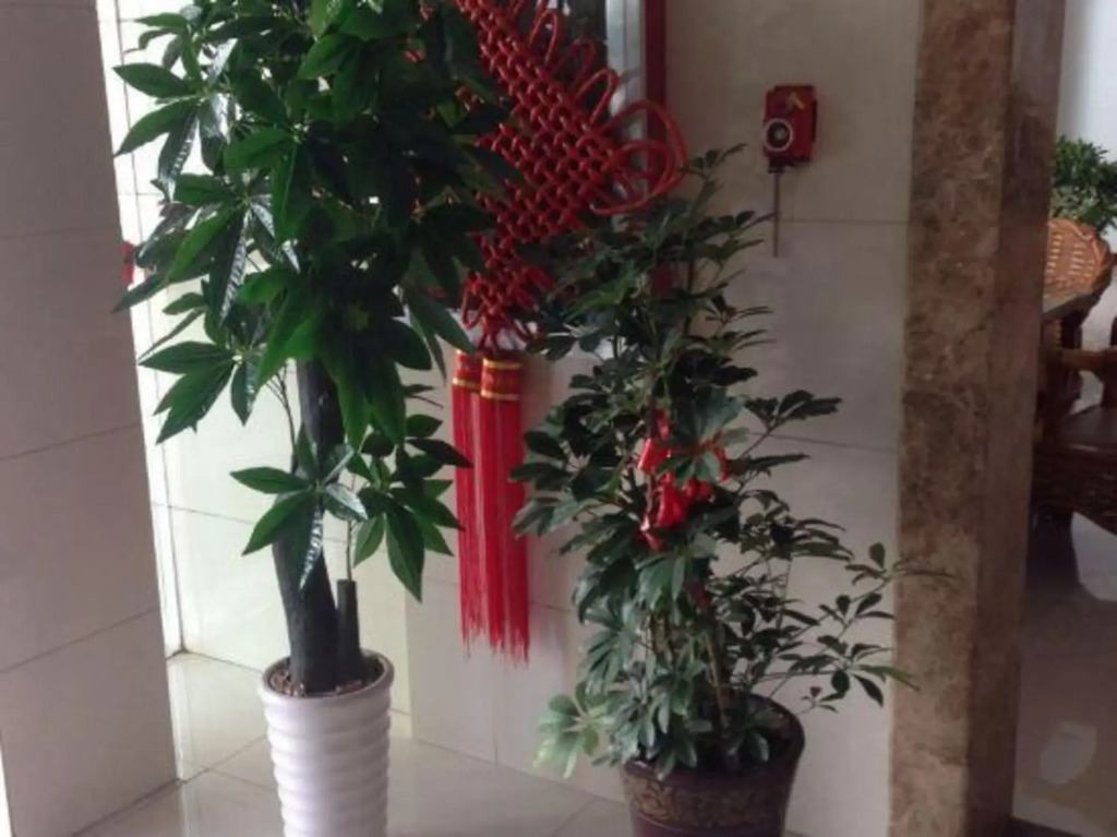 Huali Business Hotel
