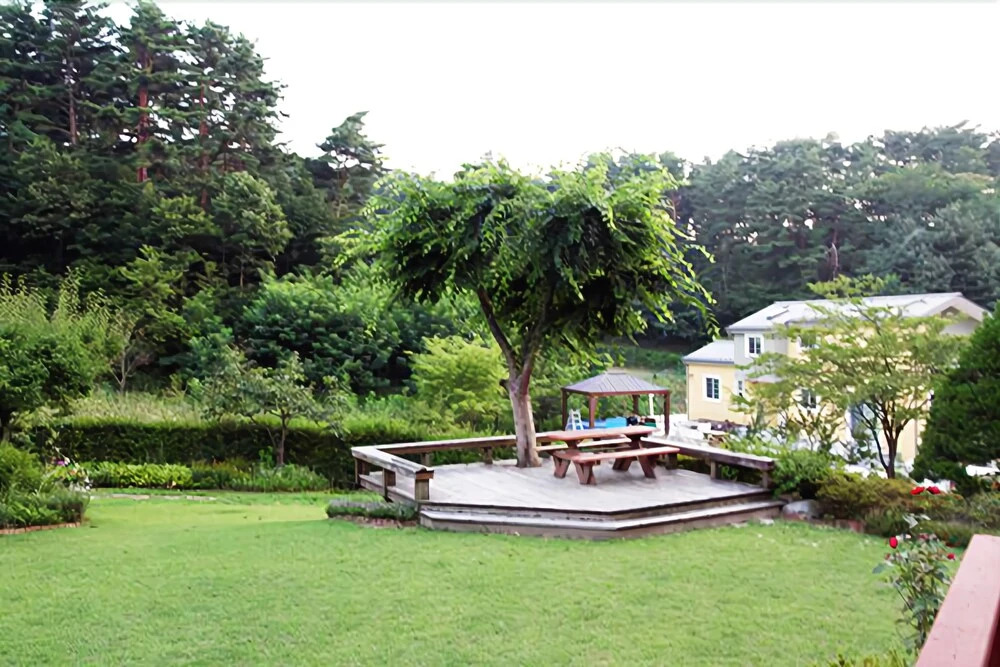 Gangreung Lime Hill Villa Pension