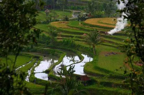 The Santrian Village