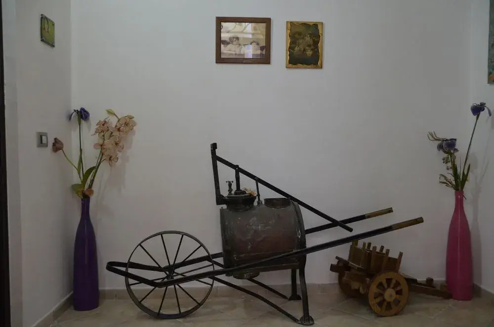 Il Meraviglioso Mondo di Amélie