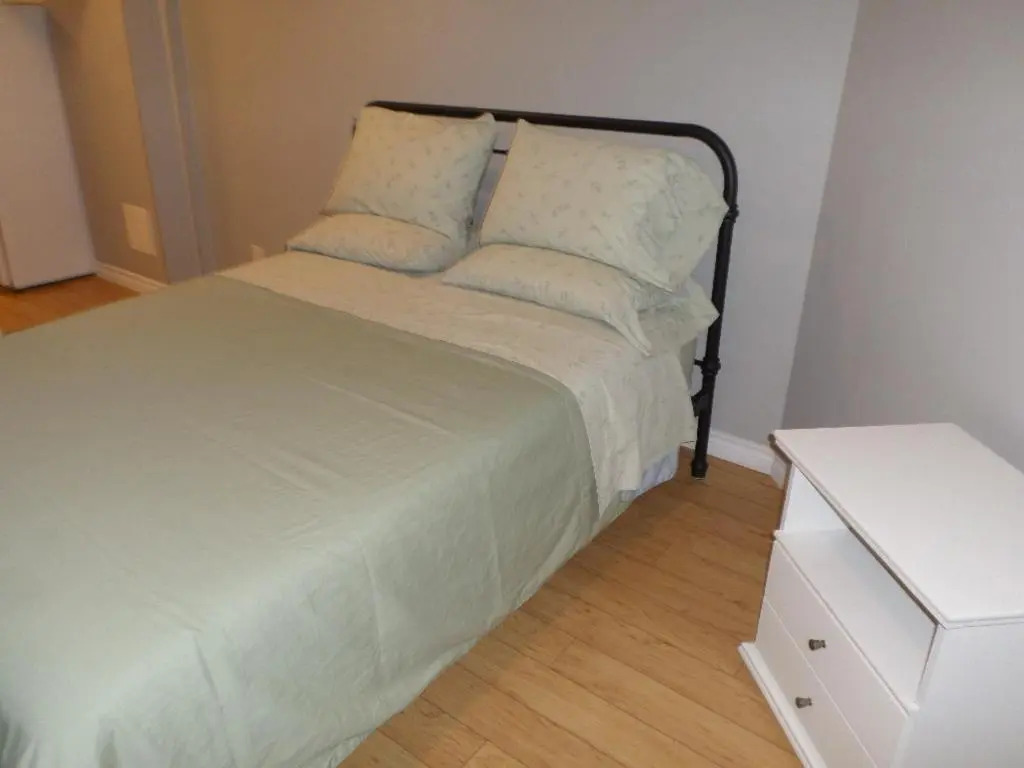Fantastic and Modern Downtown 1-Bed Basement Apt., parking Wi-Fi and Netflix included