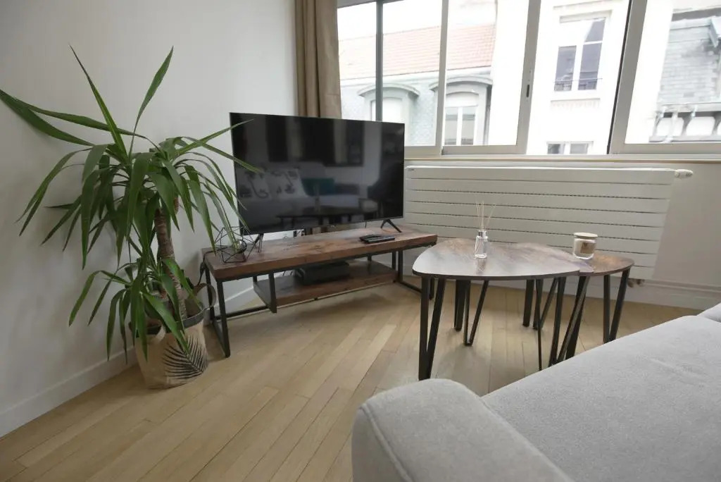 Chaleureux, lumineux et confortable F2 rénové en plein coeur de Nancy