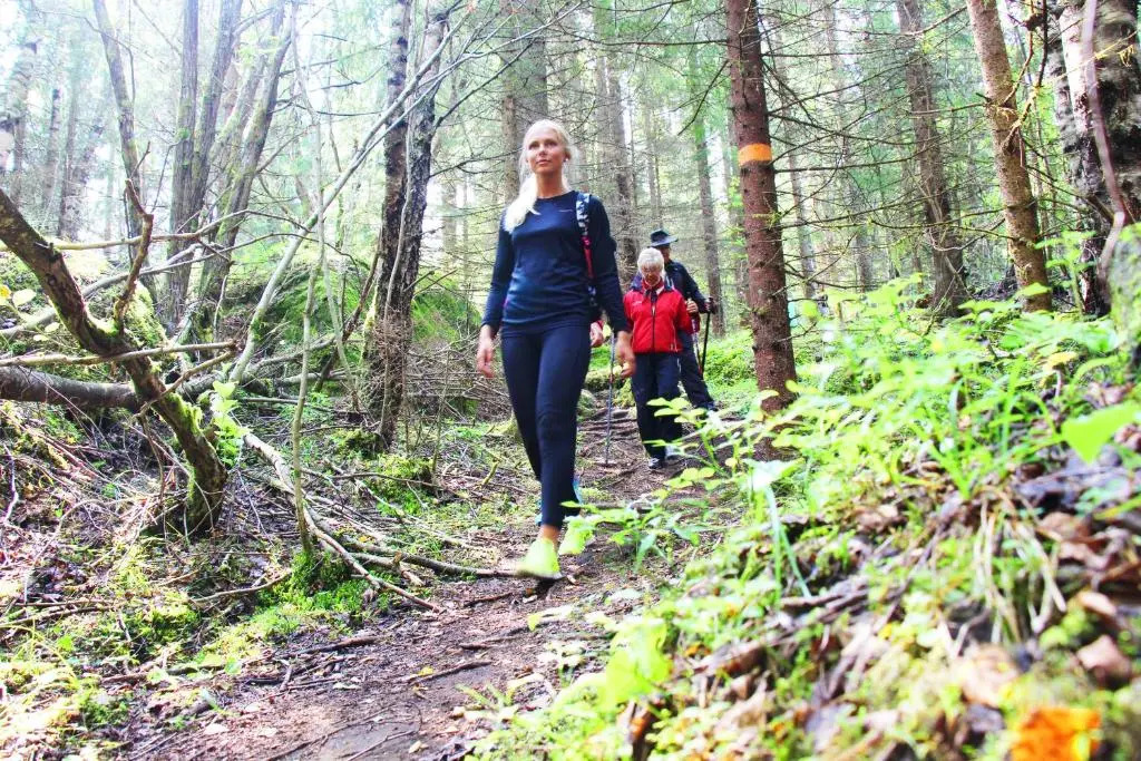 First Camp Sunne - Fryksdalen
