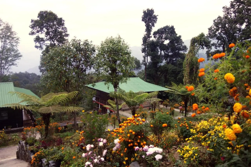 The Barfung Retreat