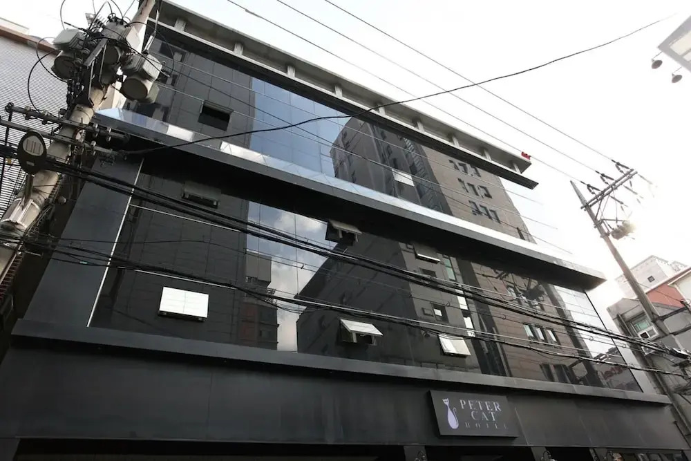 Petercat Hotel Shinchon
