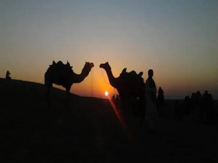 Tripvillas @ Desert Safariors Jaisalmer