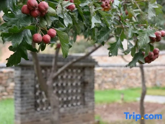 Shoulv Hanshe Bolv Mantang Courtyard
