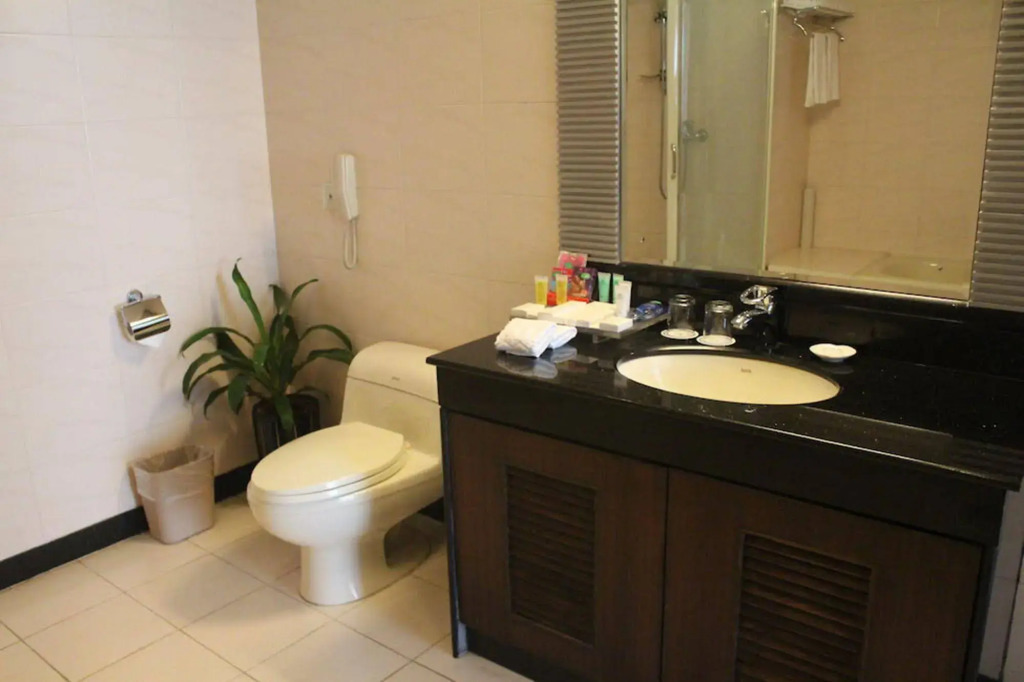 Shenzhen Convention and Exhibition Center Union Plaza Qiuguo S Hotel