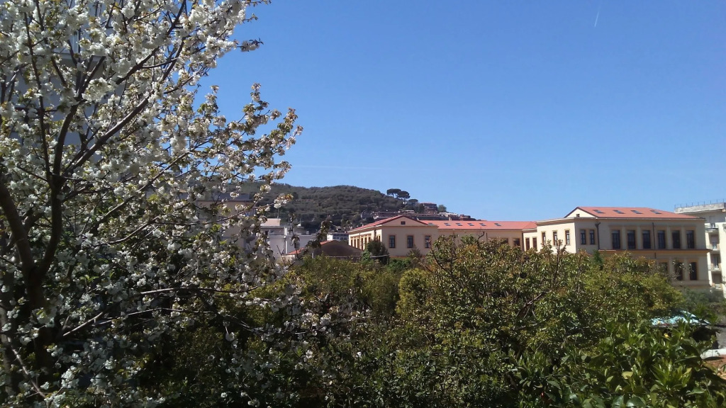 1878 Sorrento Guest House