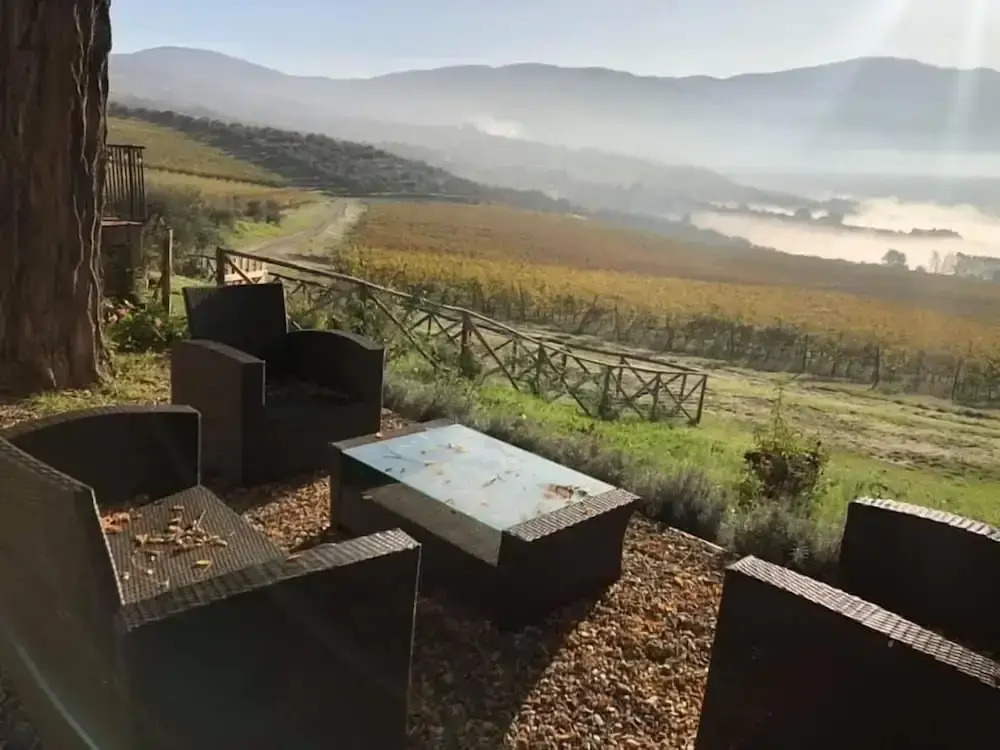 Azienda Agricolo Il Poggiolino